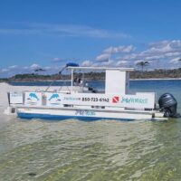 Private & Custom Tours