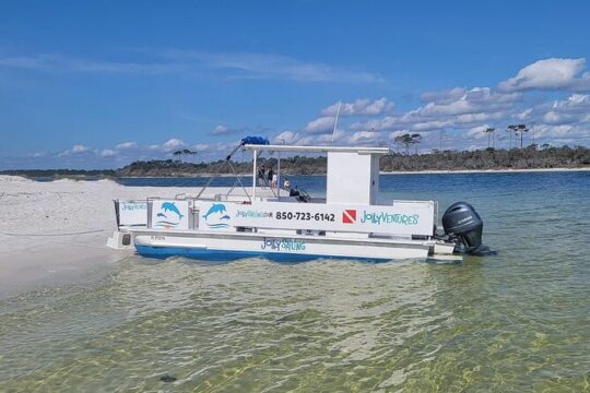 Private 3 Hour Powerboat Dolphin Cruise with Remote Beach Stop up to 6 guests