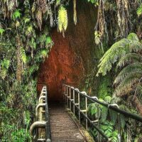 Cultural & Theme Tours