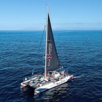 Catamaran Cruises