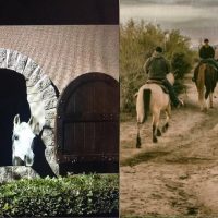 Horseback Riding