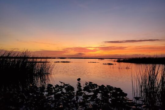 Private 4-Hour Lake Istokpoga Bass Fishing Charter in Florida