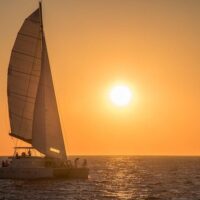 Catamaran Cruises