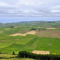 Cultural & Theme Tours