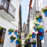Cultural & Theme Tours