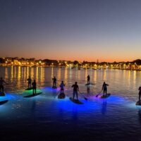 Stand Up Paddleboarding
