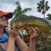 Day Trips & Excursions
