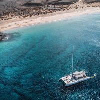 Cruises, Sailing & Water Tours