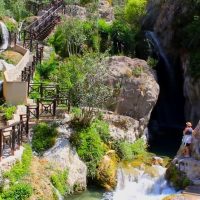 Tours & Sightseeing