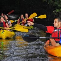 Cruises, Sailing & Water Tours