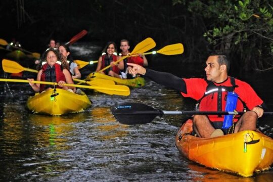 Guided El Yunque Rainforest & Bio Bay Tour: Full-Day with Transportation