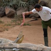 Zoo Tickets & Passes