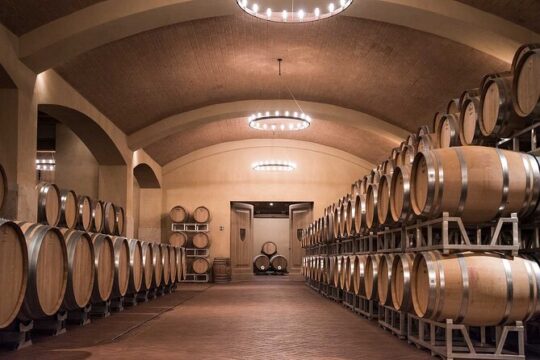 Chianti Half-Day Afternoon Tour from Florence