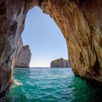 Day Cruises