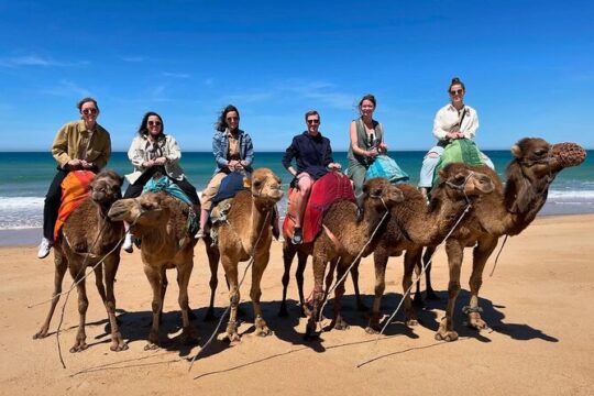 Half-Day Private Tour in Tangier