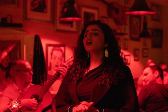 Lisbon Fado and Dinner Tour