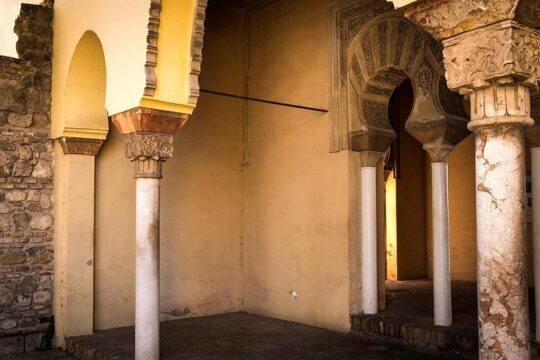 1.5-Hour Roman Theater and Alcazaba Castle Walking Tour