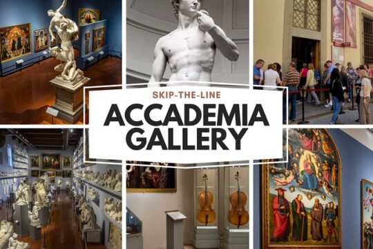 Accademia Gallery Guided Tour -THE DAVID- Small Group 9pax Skip-the-Line tickets
