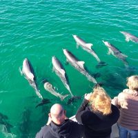 Cruises, Sailing & Water Tours