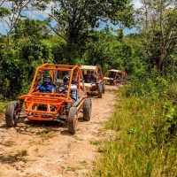 Tours & Sightseeing