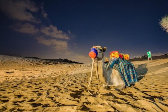 Private Evening Desert Safari with BBQ Dinner Dubai