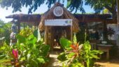 Roatan Island Tour 3/3/25
