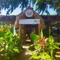 Cruises, Sailing & Water Tours