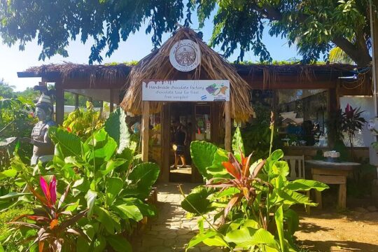 Private Tour: Chocolate Factory Rum cake Factory, Sightseeing and Beach Tour
