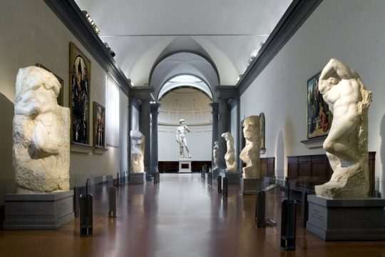 Skip-the-Line Accademia Guided Visit: David secrets and beyond