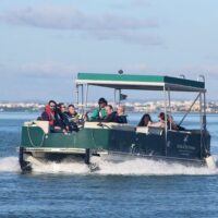 Day Trips & Excursions