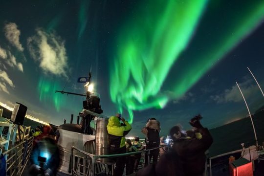 Northern Lights Cruise from Reykjavik Including Photos