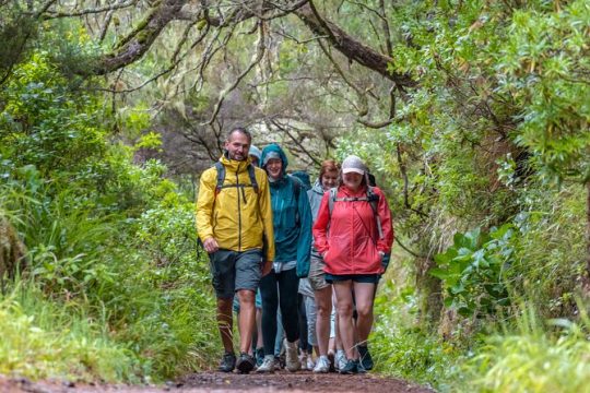 Skywalk 4x4 Experience and Rabacal 25 Fountains Levada Walk