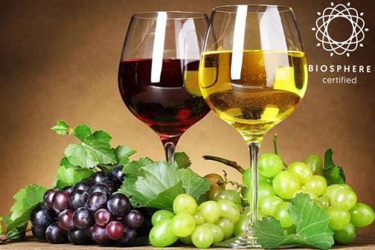 Skywalk, Madeira Wines Tasting and Vineyards 4x4 Experience
