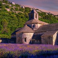 Cultural & Theme Tours