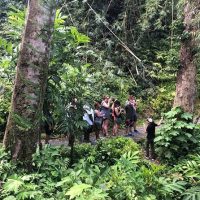 Tours & Sightseeing