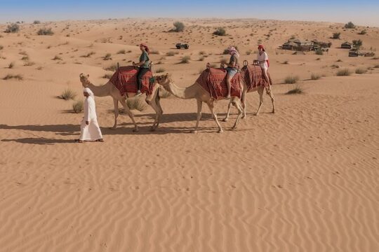 Morning Falconry & Nature Desert Safari with transfers from Dubai
