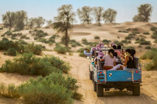 Dubai Heritage Land Rover Desert Safari with Traditional Dinner & Entertainment