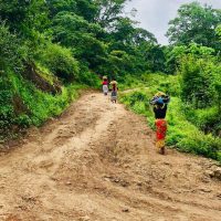 Cultural & Theme Tours