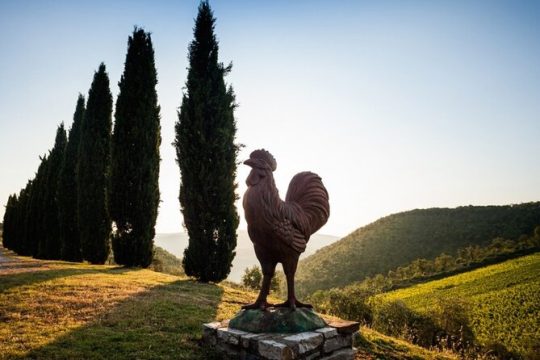 Semi Private Deep Wine Chianti and San Gimignano from Florence