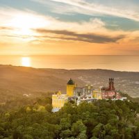 Private & Custom Tours