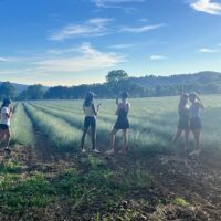 Private & Custom Tours