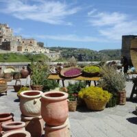 Day Trips & Excursions