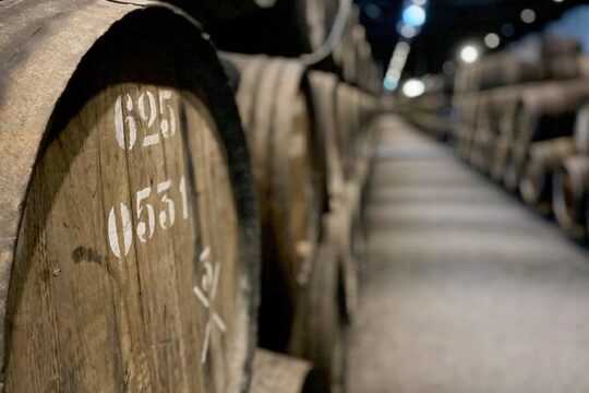 Guided Port Wine Walking Tour