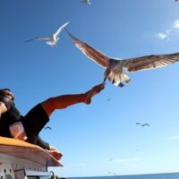 Shore Excursions