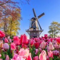 Holiday & Seasonal Tours