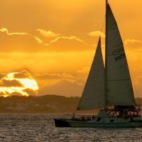 Cruises, Sailing & Water Tours