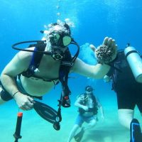 Private & Custom Tours