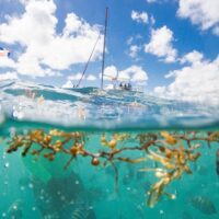 Cruises, Sailing & Water Tours