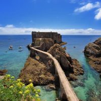 Glass Bottom Boat Tours
