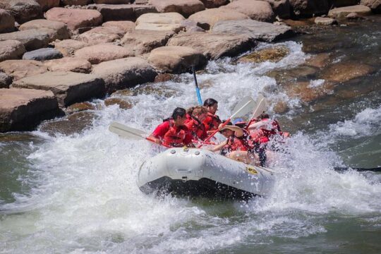 Half-Day Family Rafting in Durango, Colorado
